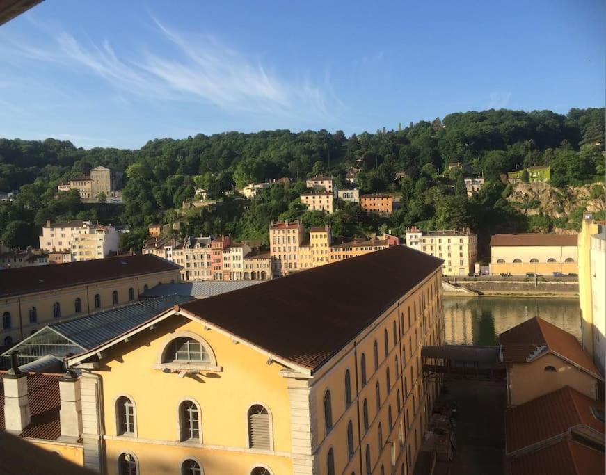 Climatise Terrasse Vue Sur Et Les Quais De Saone *
