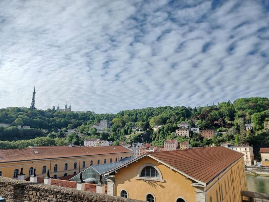 Climatise Terrasse Vue Sur Et Les Quais De Saone * Lyon