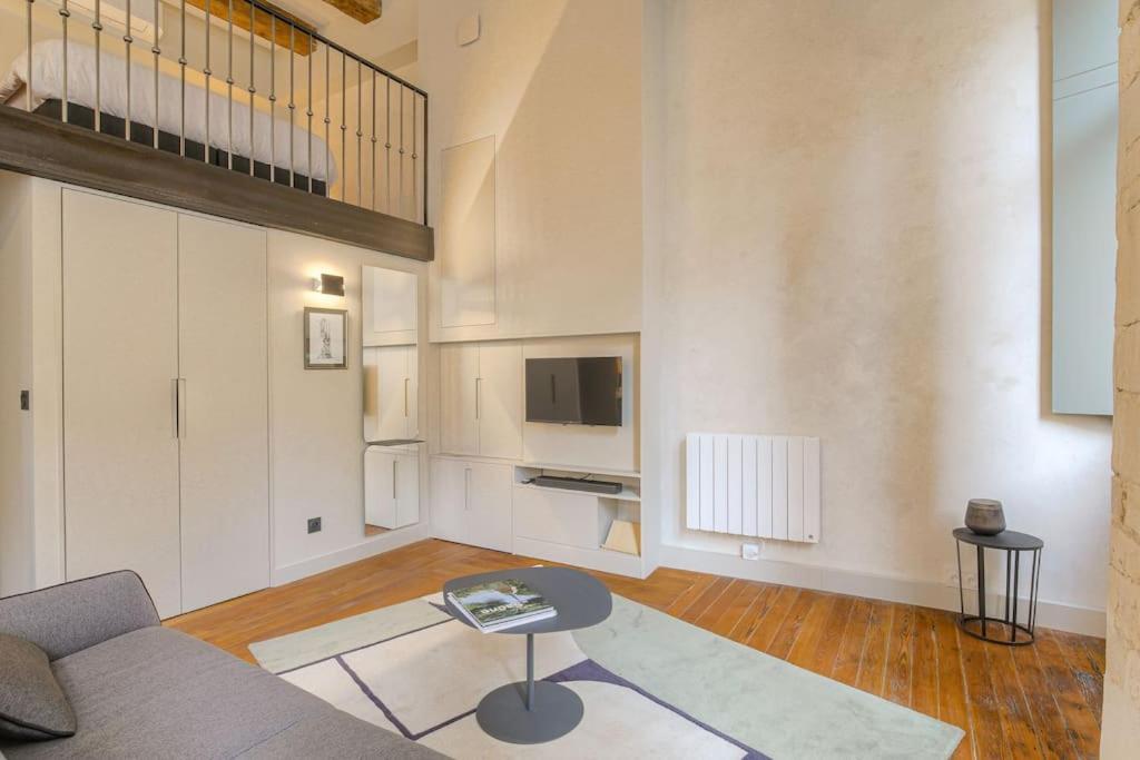 Duplex Lumineux Et Authentique, Vieux-lyon Lyon