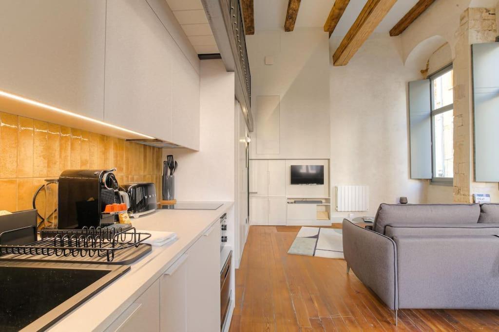 Duplex Lumineux Et Authentique, Vieux-lyon Lyon