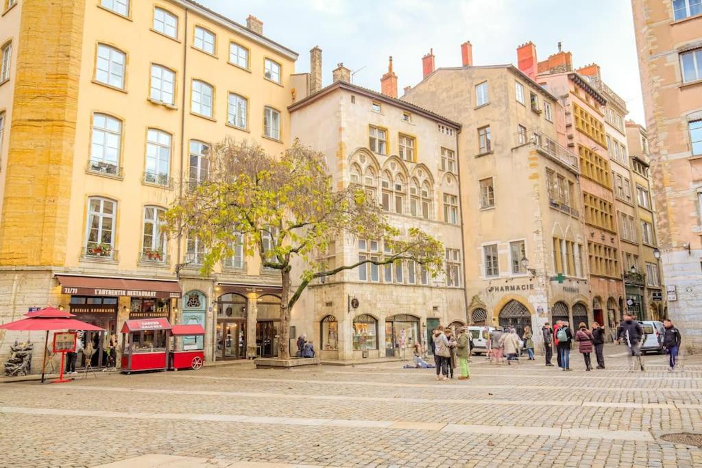 Duplex Lumineux Et Authentique, Vieux-lyon Apartamento