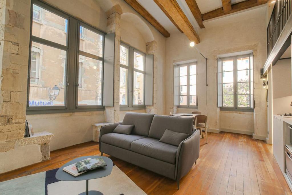 Duplex Lumineux Et Authentique, Vieux-lyon Lyon