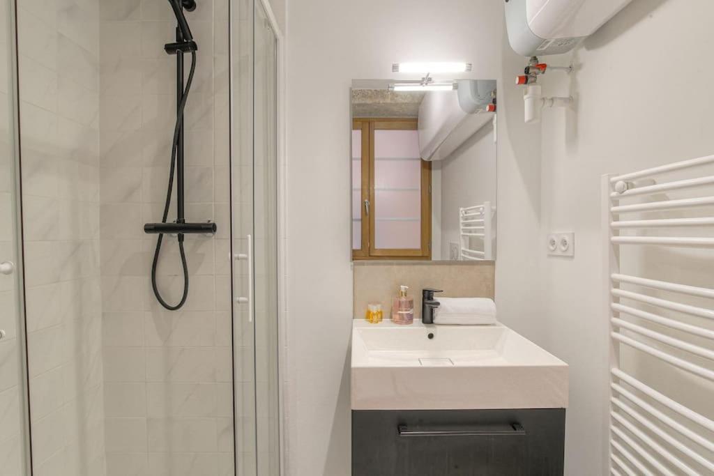 Appartement Special Groupes - 10 Personnes Lyon