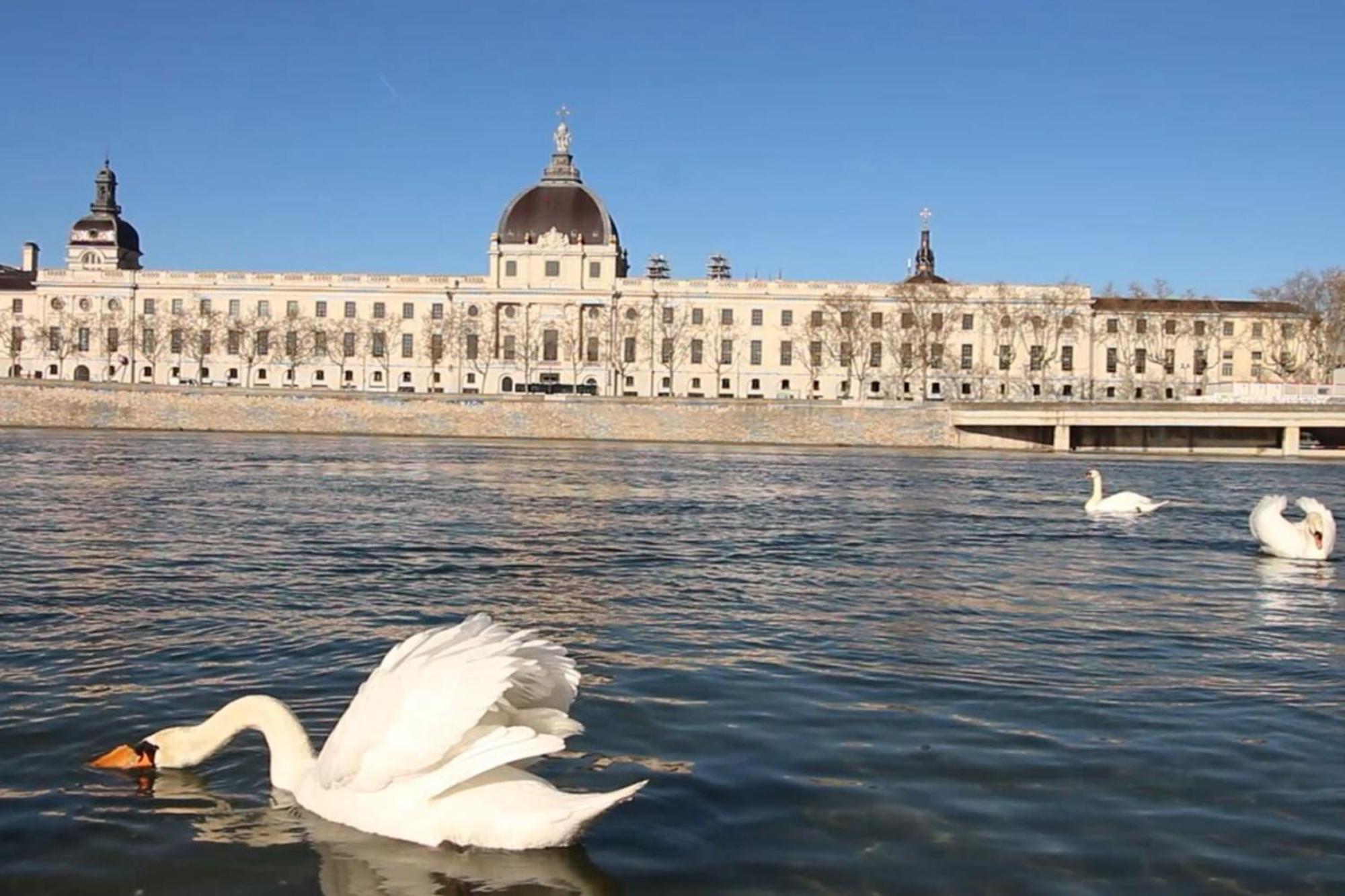 Le Tropical - Beautiful - 7th Appartement Lyon