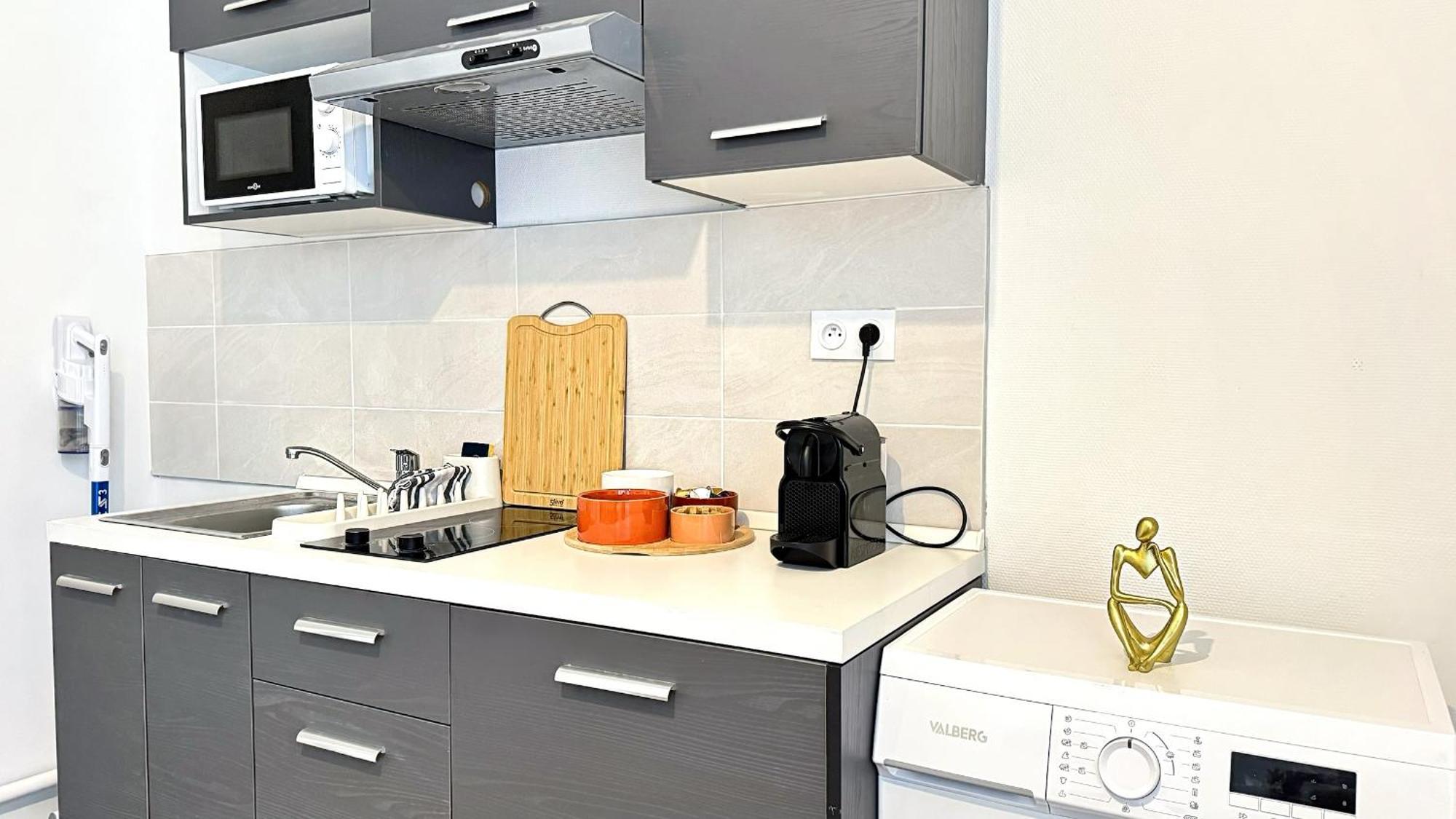 Apartment Songor Lyon