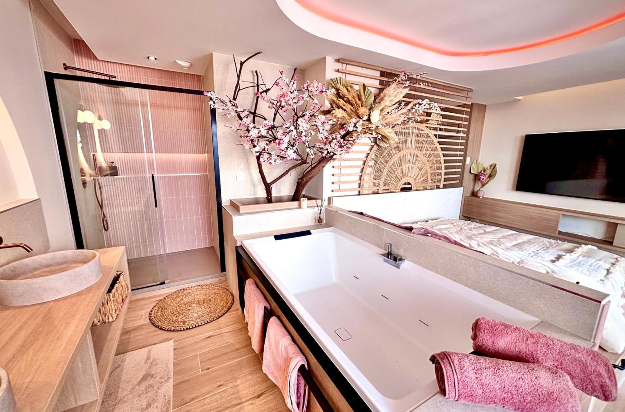 Apartment Blossom Suite-hyper Centre Jacuzzi Balcon Clim Lyon