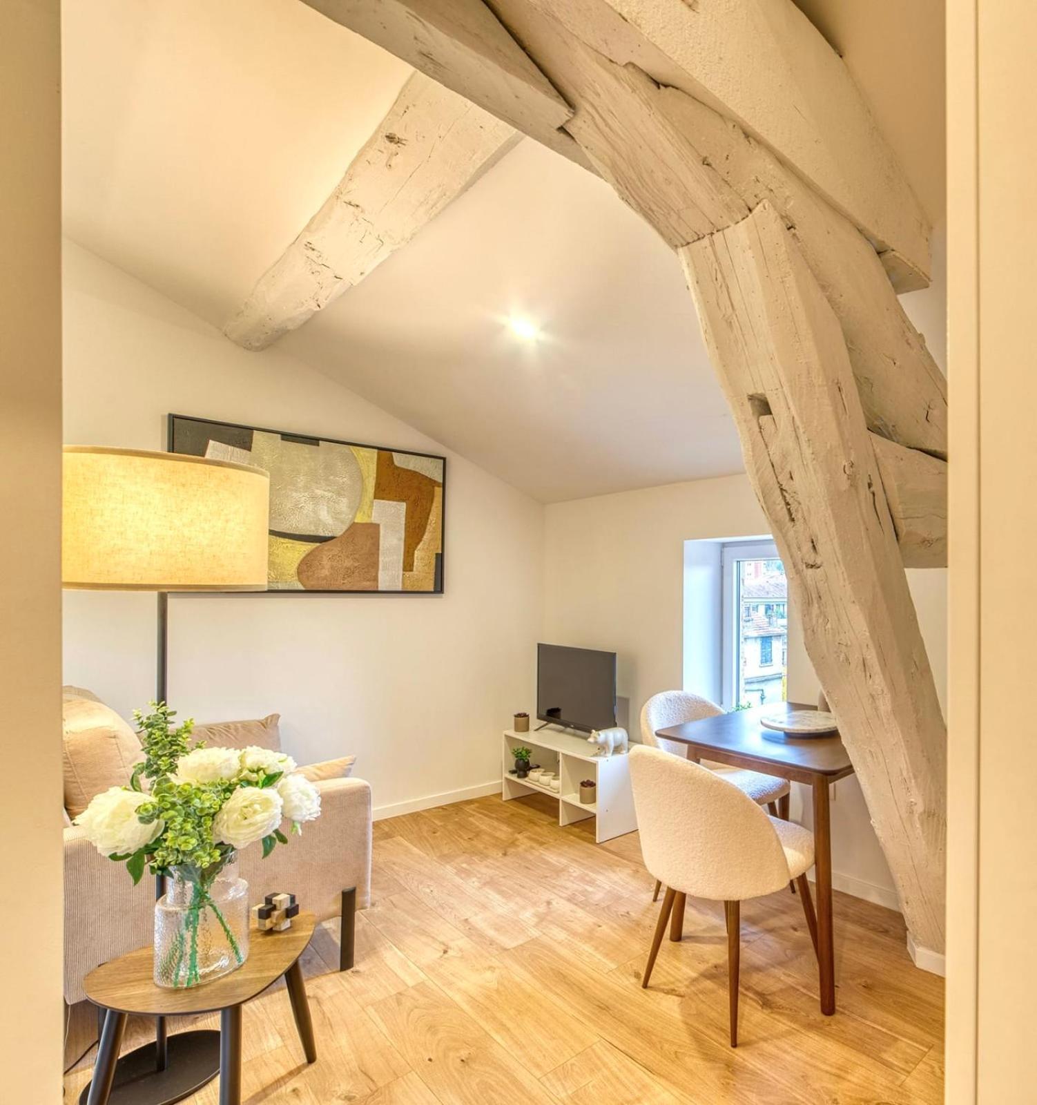Le Cocon - Climatise Coeur De 5eme Apartment Lyon
