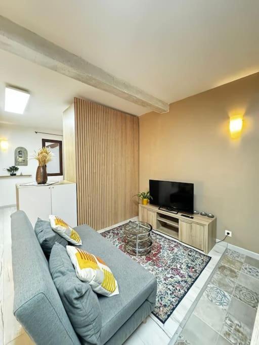 Magnifique Au Coeur De La Presqu'ile Apartment *