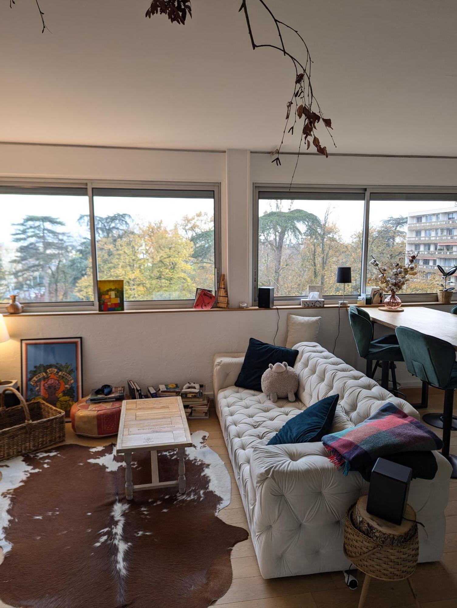 Appartement T3 Lumineux Avec Vue Panoramique - Point Du Jour Lyon