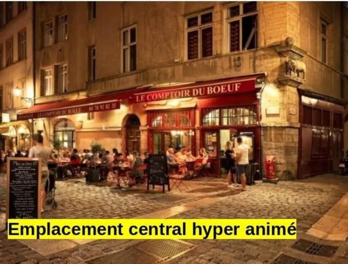 La Cachette St Jean, Calme Et Serenite Vieux * Lyon