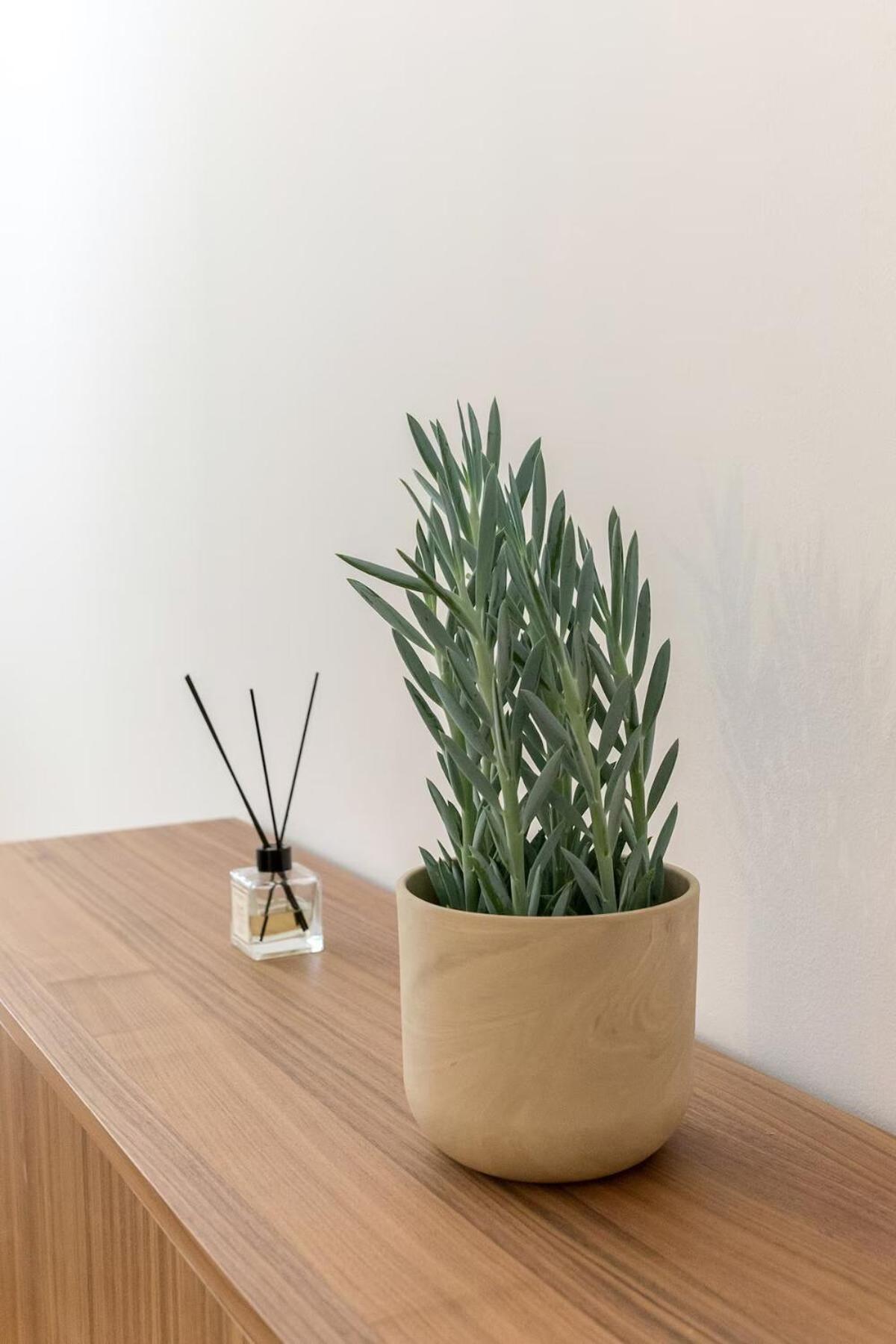 Appartement Palisades *