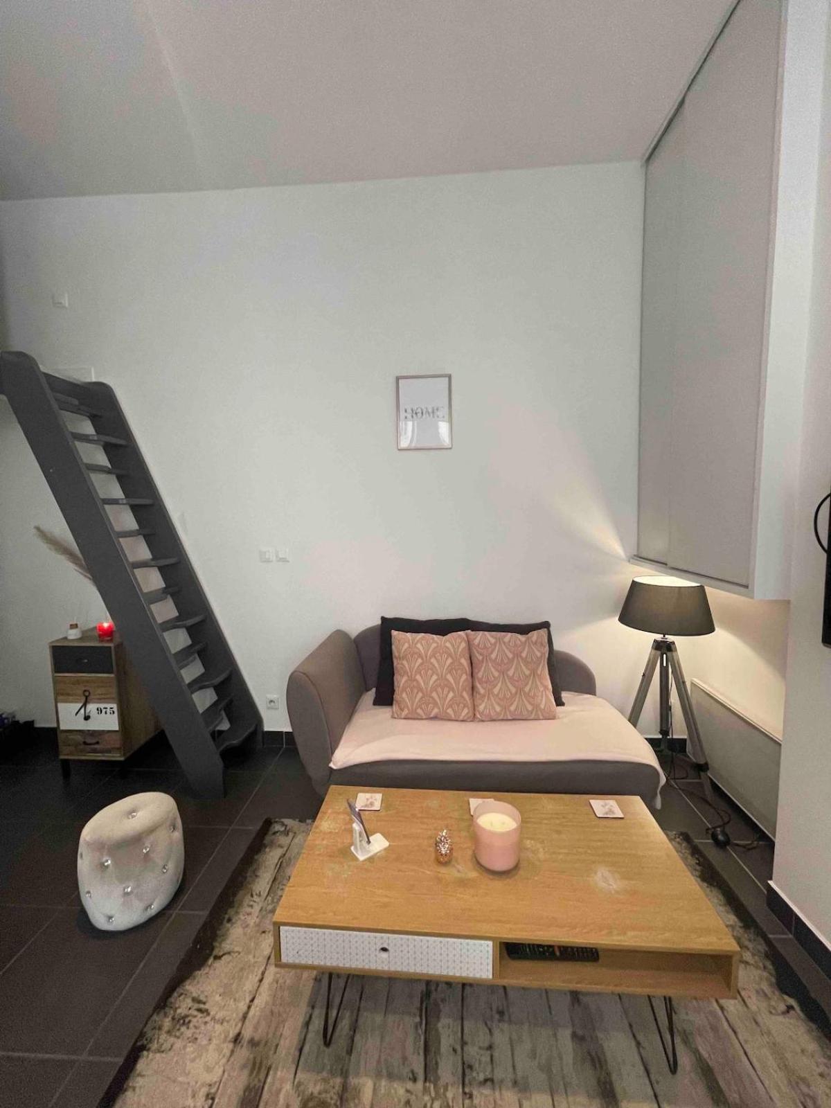 Appartement Le Massena D'or, Calme, Metro, Et Parc Tete D'or Lyon