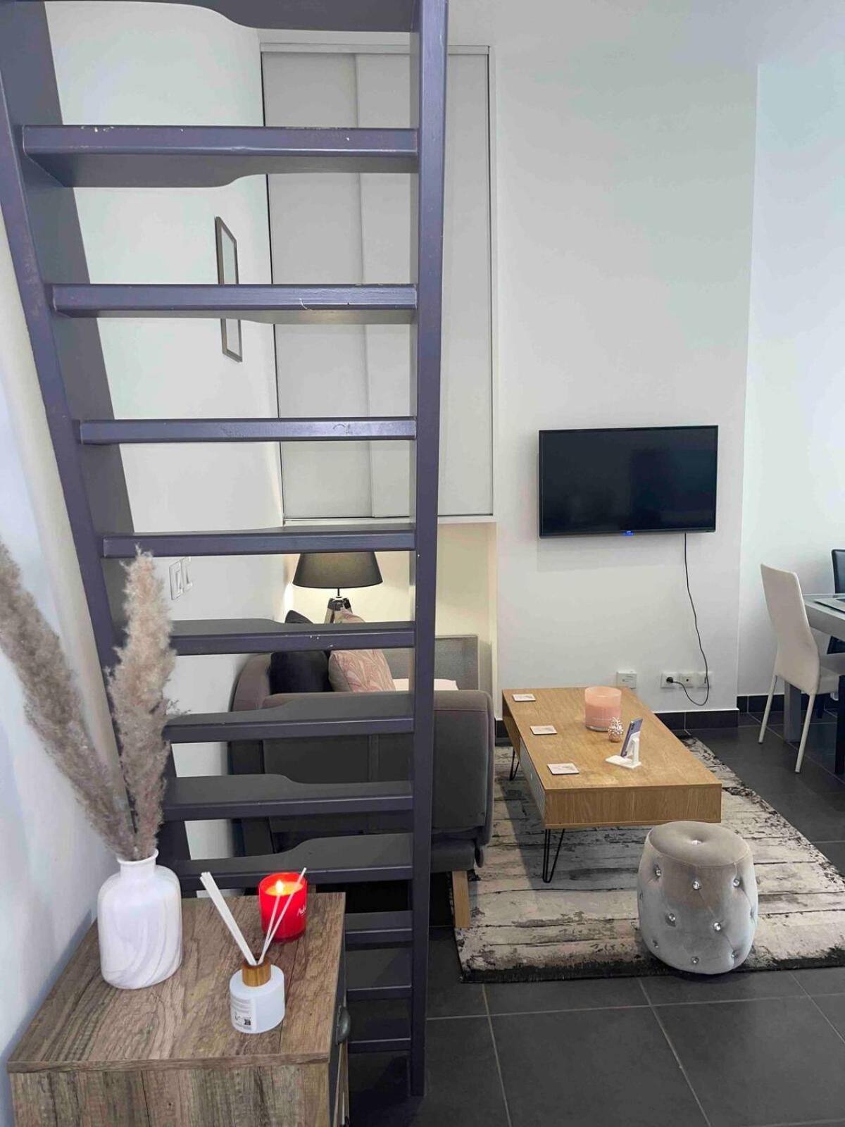 Appartement Le Massena D'or, Calme, Metro, Et Parc Tete D'or Lyon
