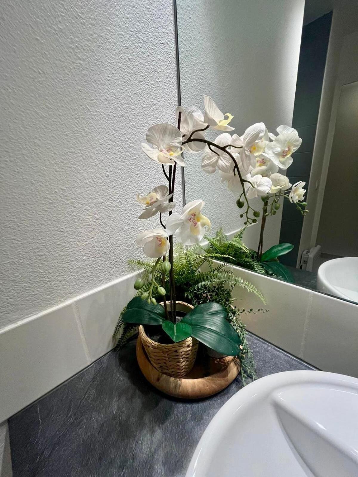 Appartement Lumiere In
