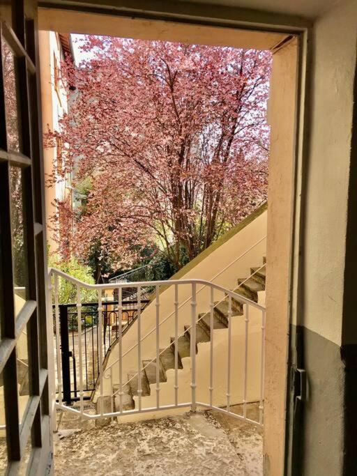 Joli Climatise Avec Terrasse - Centre Appartement