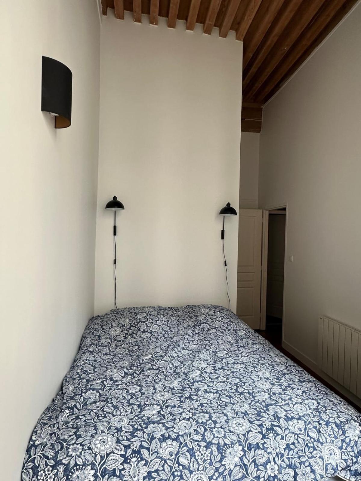 Bright T3 In The 1st Arrondissement Apartment Lyon
