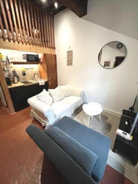 Le Cocon De Saint-jean Apartment Lyon