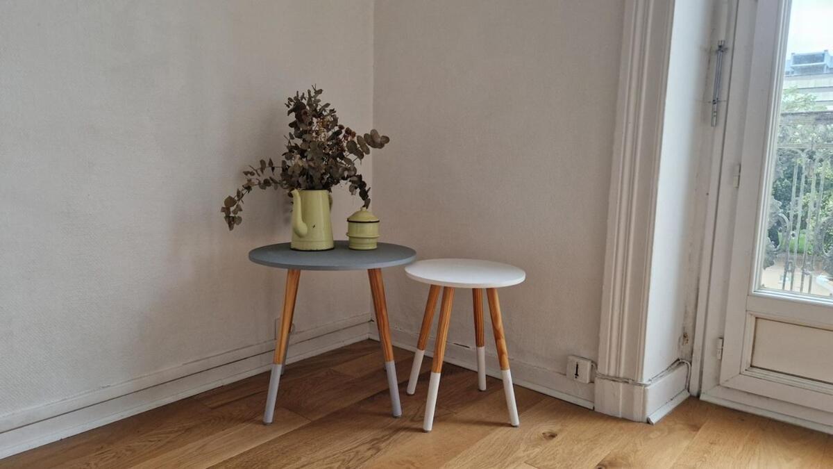 Le Philippe, Cosy Au Coeur De Lyon, 2 Apartment Lyon