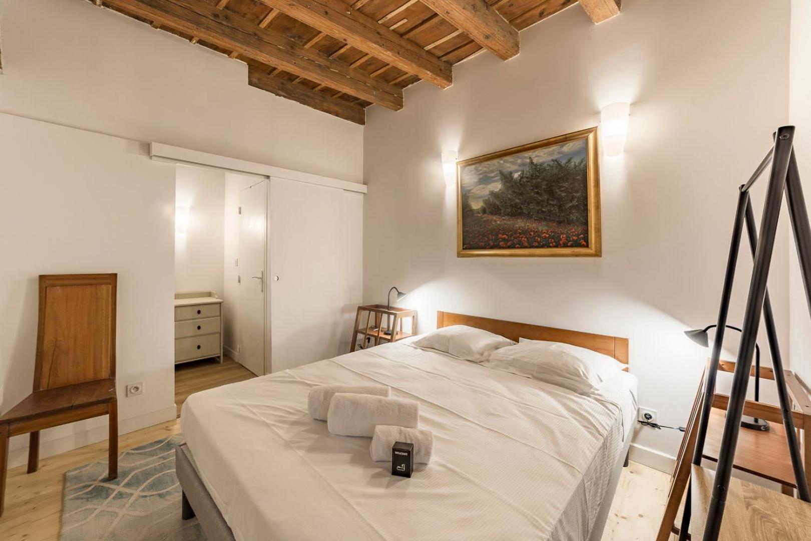 Old Lyon, Historic District Calm And Spacious Ail Apartment
