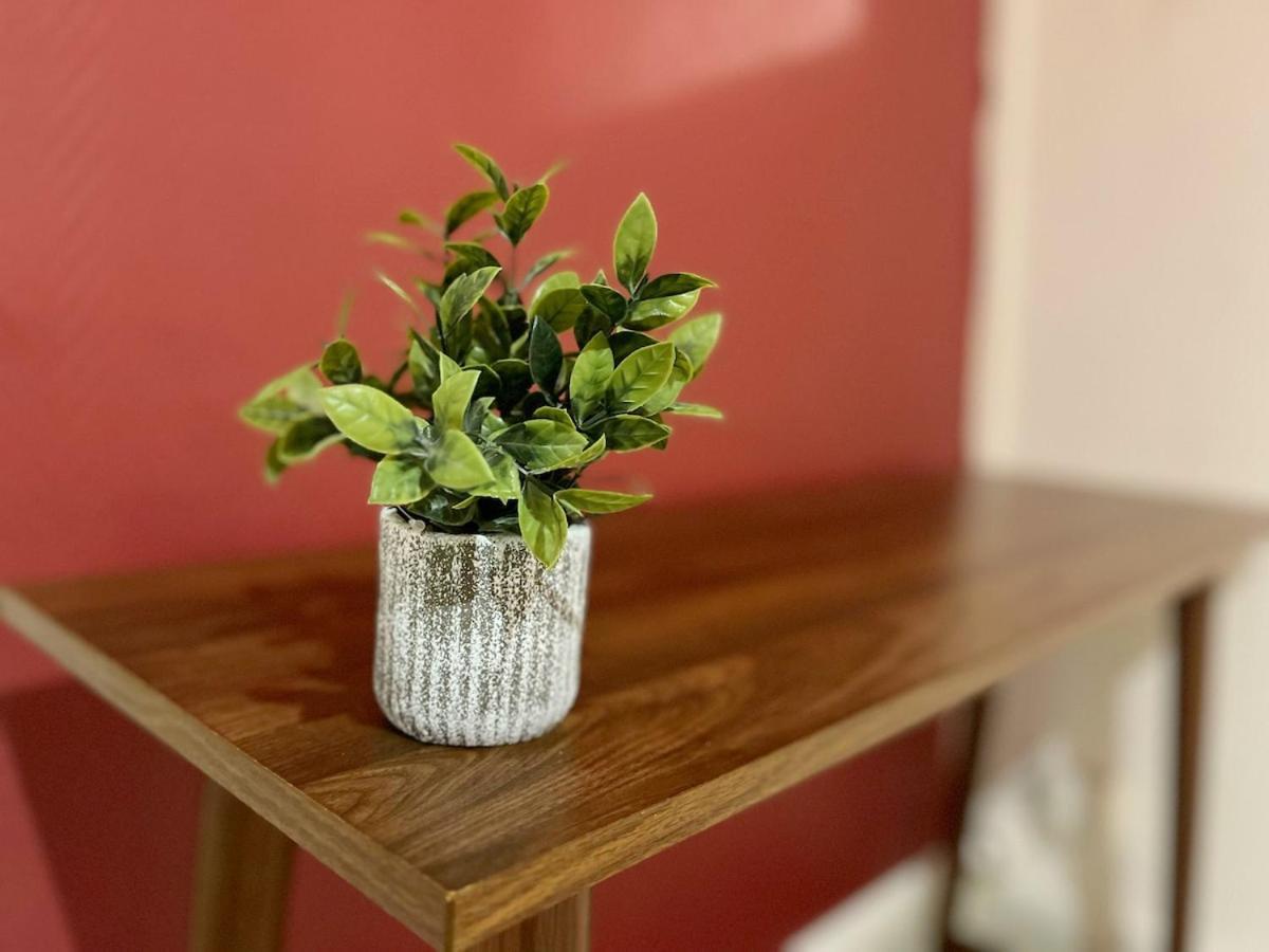 Petunia Lyon