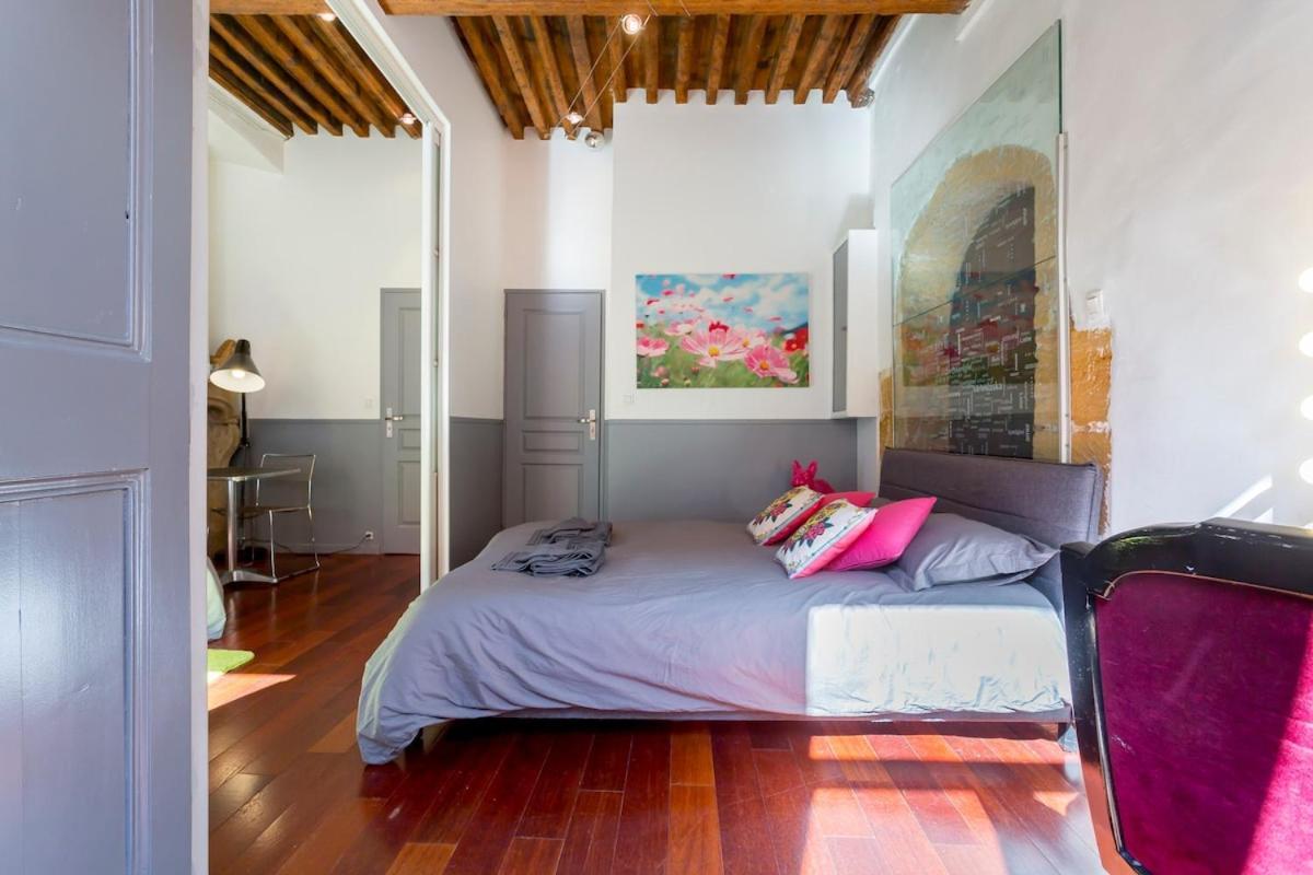Le Duplex De Fourviere Appartement Lyon