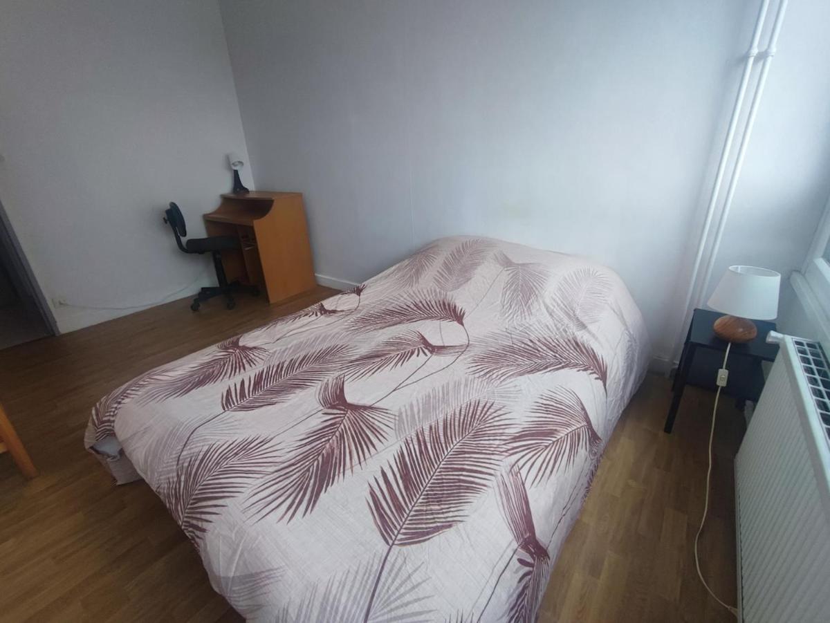 Grand Lumineux Et Appartement Lyon