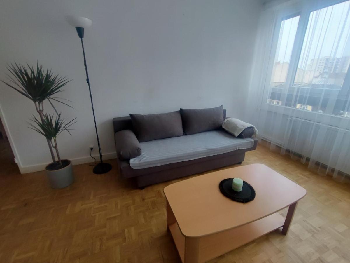 Appartement Grand Lumineux Et Lyon