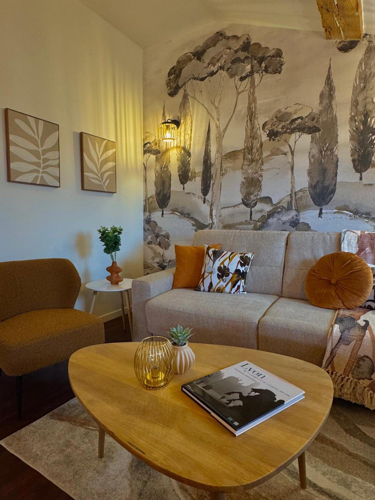Cocon Appartement Lyon