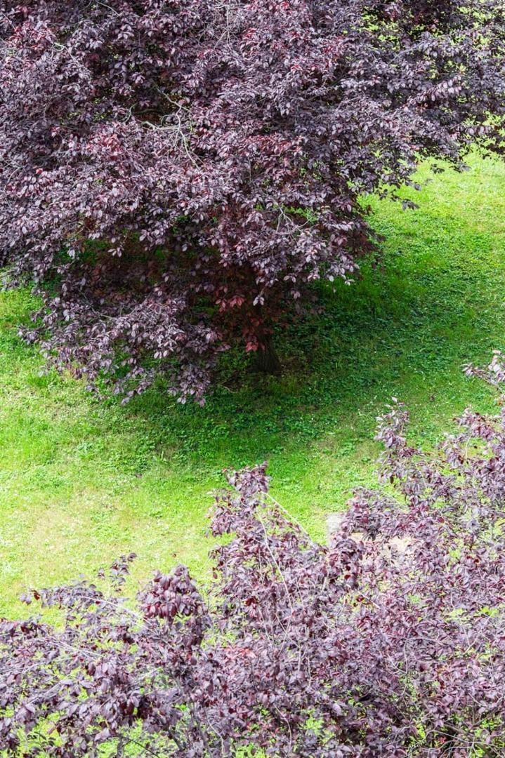Appartement Le 27 - 3*** Cosy A Parking Lyon