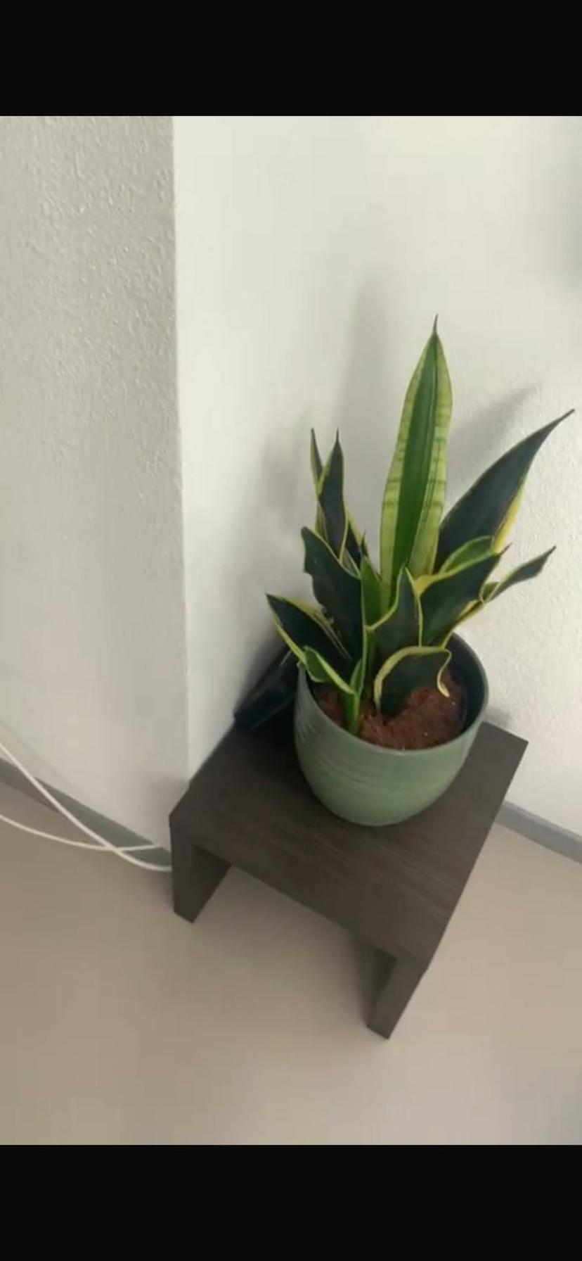 Appartement Sixième Lyon