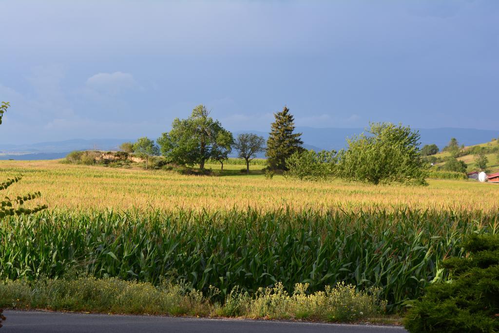 D'hotes La Paravent