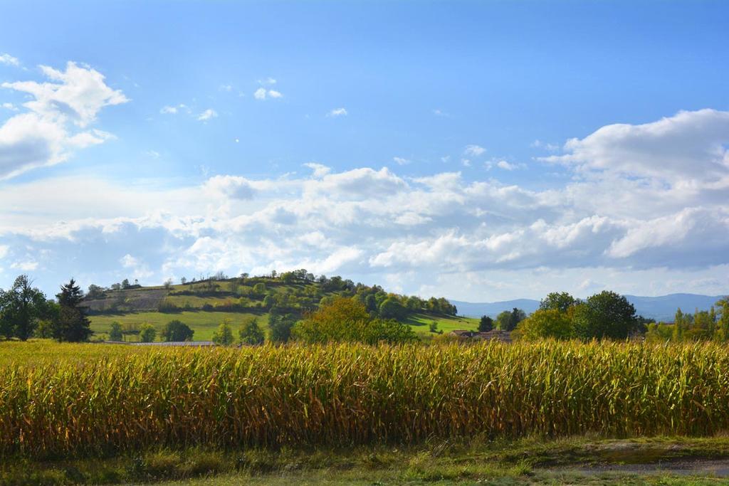 Bed and breakfast D'hotes La Paravent 3*