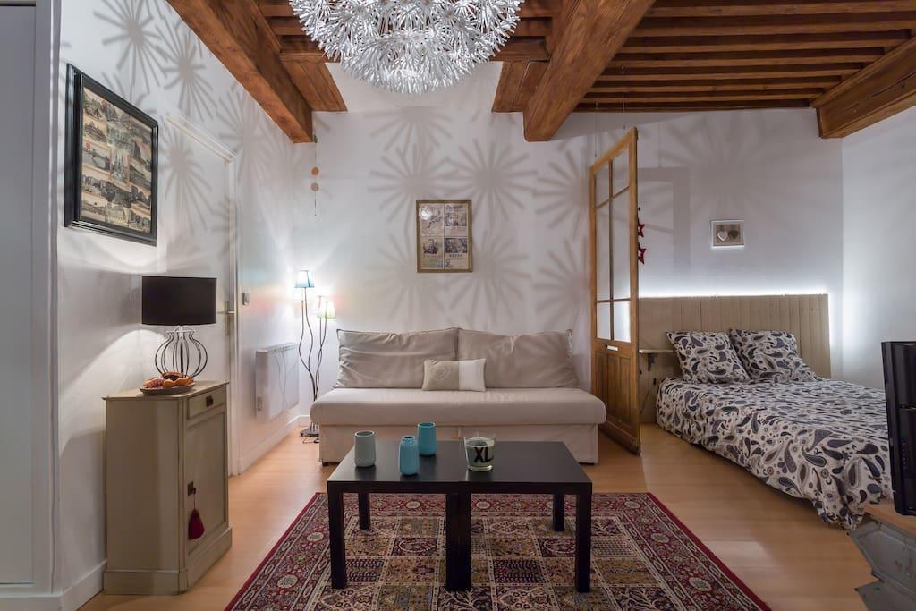 Apartamento Le 27 L Lyon