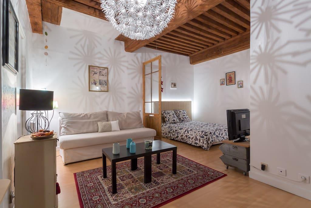 Le 27 L Apartamento Lyon