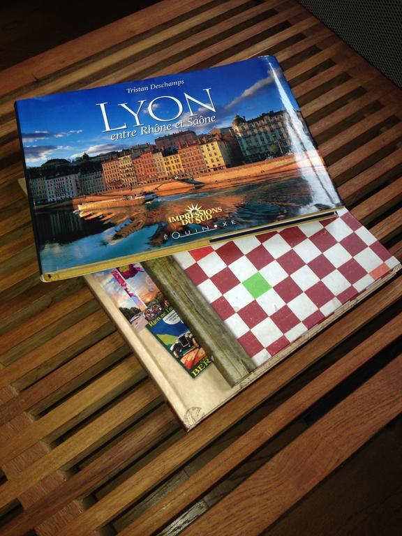 Apartment Les Toits De Lyon