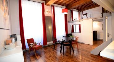 Ambiance - Le Canut Appartement *