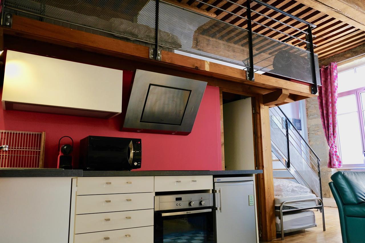 Le Loft Des Canuts Appartement *