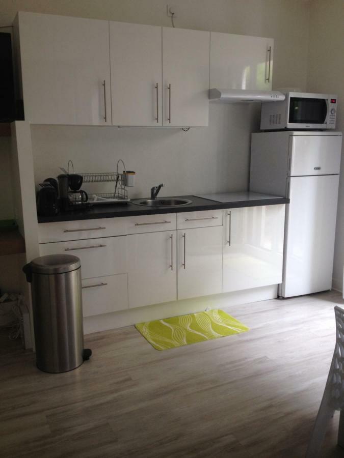 Le Croix Roussien Centre Apartment *