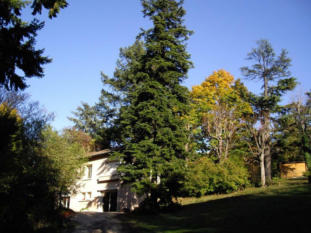 Castel Maison Meublee Lyon