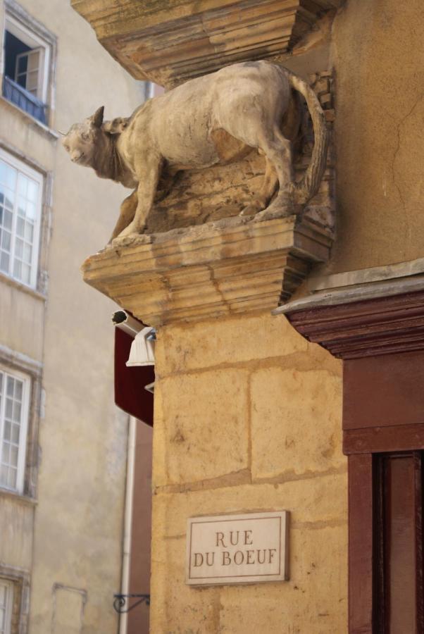 L'outarde Apartment Lyon