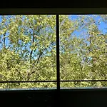 Junior Suite Avec Balcon