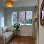 New & Cozy