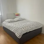 Central Spacious Bright Flat 300M From River Bank