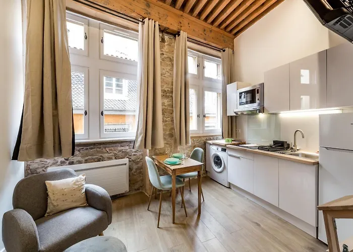Studio De Charme Au Coeur De Lyon Ail