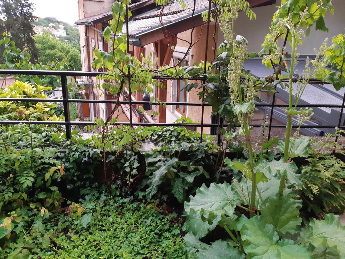Bed & Breakfast J'irais A Lyon