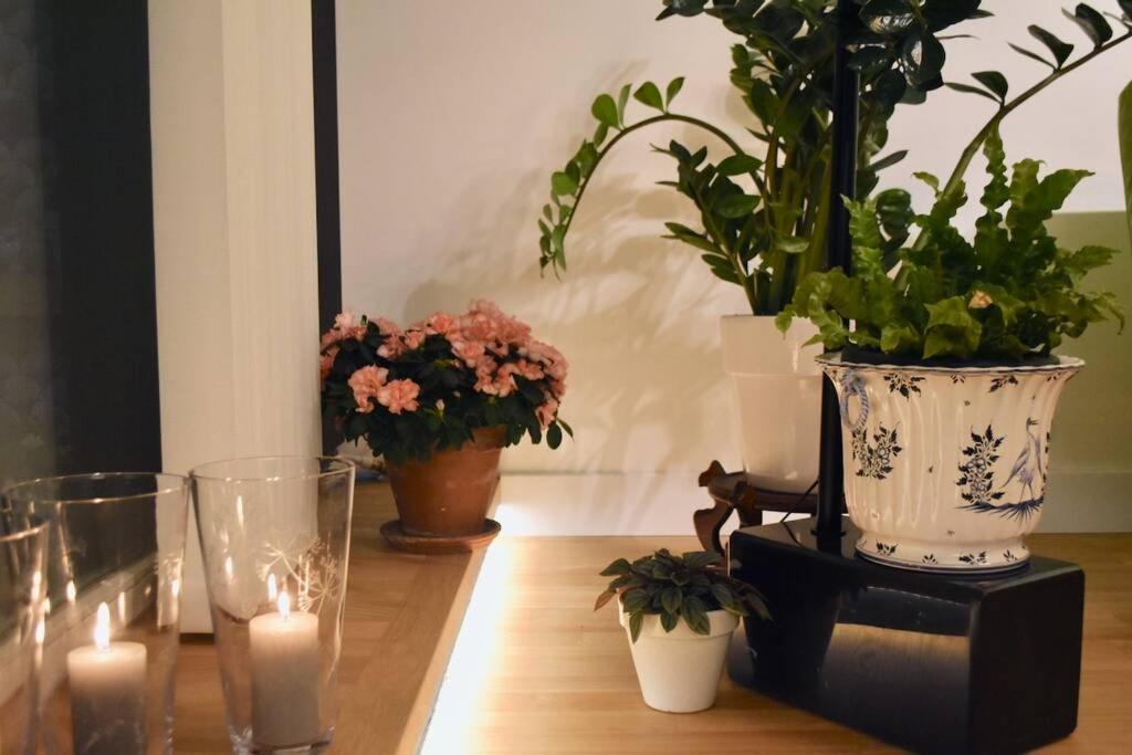 Apartment West Side - Full River View - Spacious - De Luxe