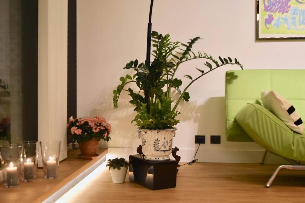 West Side - Full River View - Spacious - De Luxe Lyon