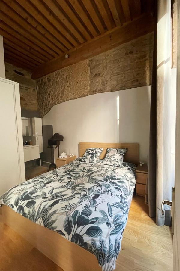 Maison d'hôtes Coeur Vieux Lyon, 60 M2 Lumineux Confort *