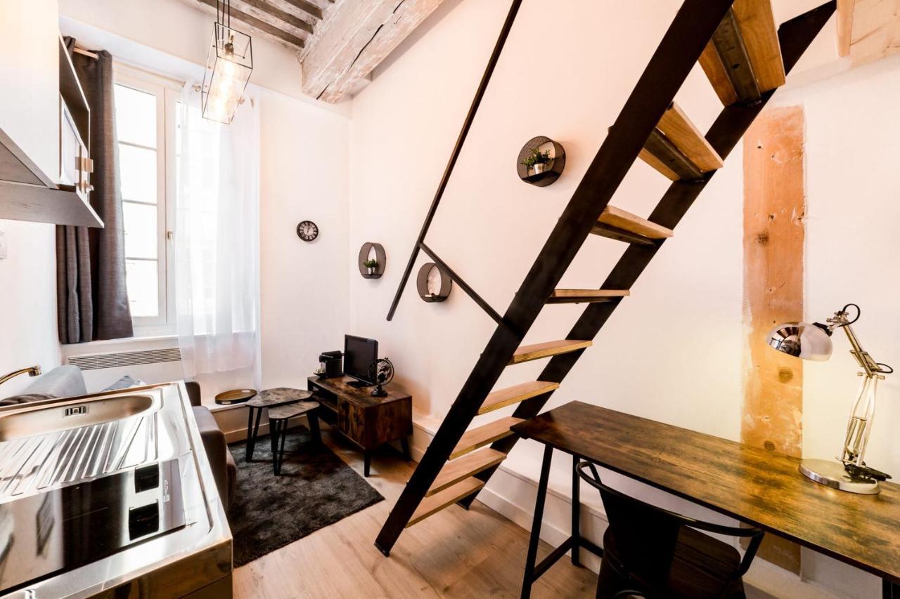 Duplex On The Slopes Of Croix-rousse Lyon
