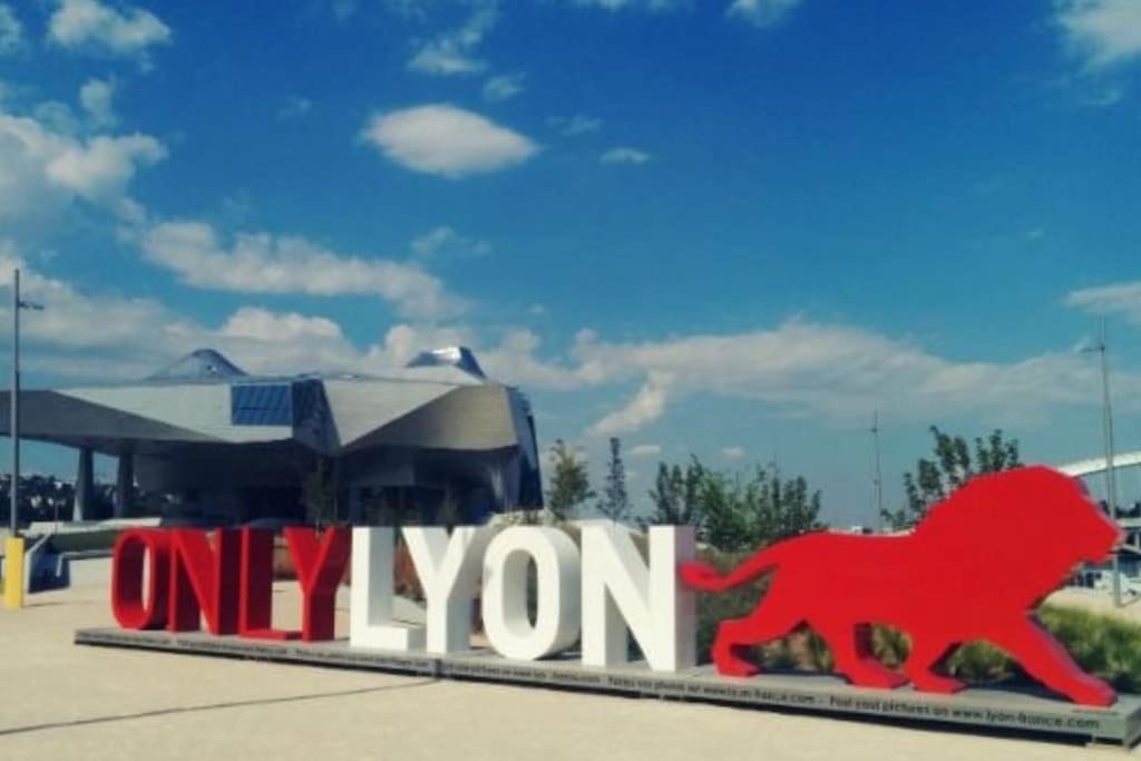 Dans Peniche Atypique Et Idyllique A Confluence Botel Lyon